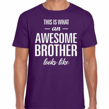 Awesome brother fun t-shirt paars voor heren