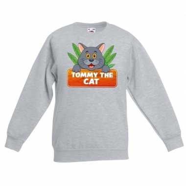 Katten dieren sweater grijs voor kinderen