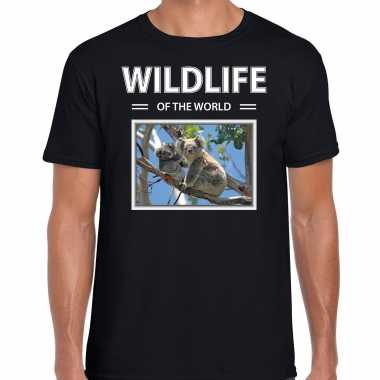 Koala foto t-shirt zwart voor heren - wildlife of the world cadeau shirt koalas liefhebber