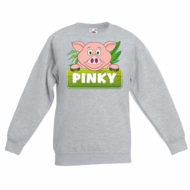 Varken dieren sweater grijs voor kinderen