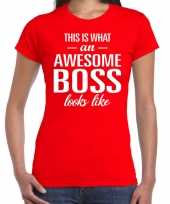 Awesome boss fun t-shirt rood voor dames