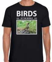 Groene specht foto t-shirt zwart voor heren birds of the world cadeau shirt spechten liefhebber