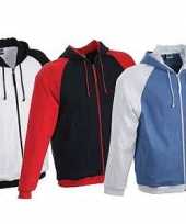 Heren sweater met capuchon