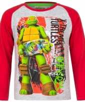 Ninja turtles shirt lange mouw grijs voor jongens